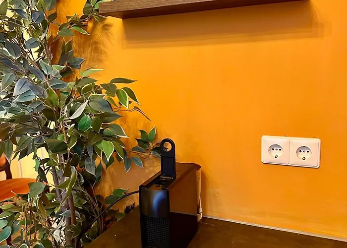 Oda ve Kahvaltı Schipperspad Tolkamer